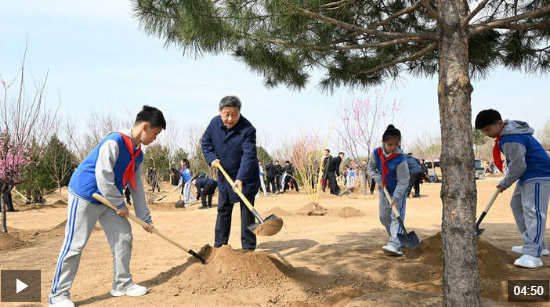 参加首都义务植树活动，习近平为何强调这三个关键词？